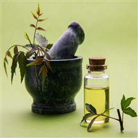 SUBA AYURVEDA